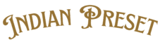 indian lightroom preset